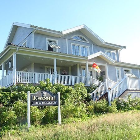 Rosenhill B&B Thalfang Ngoại thất bức ảnh